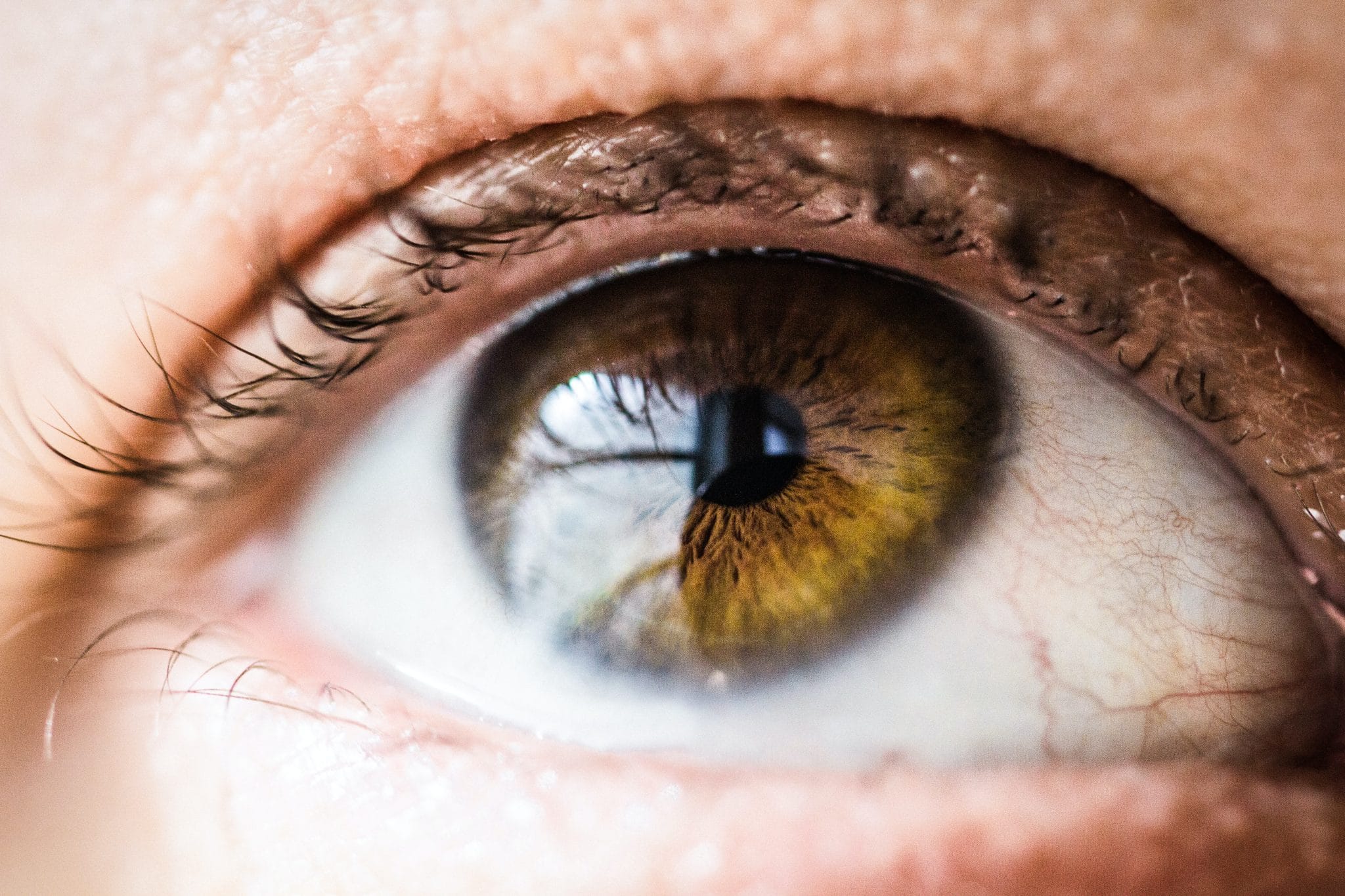 Close up of a human eye.