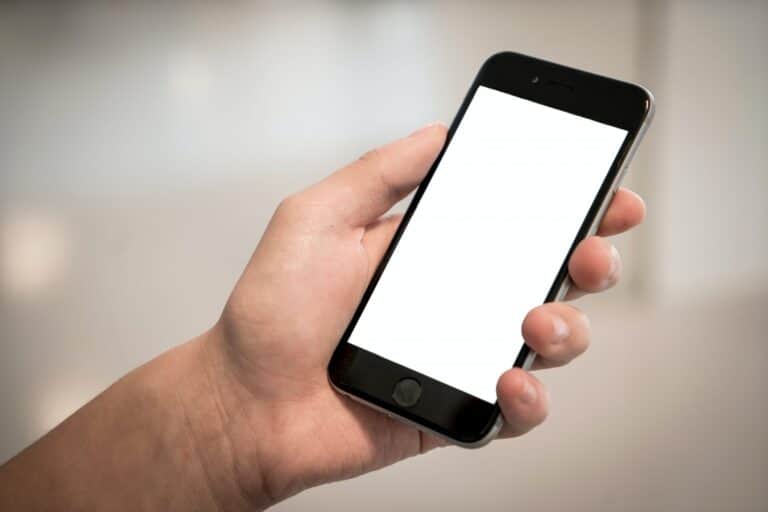 Close-up of person holding iPhone.